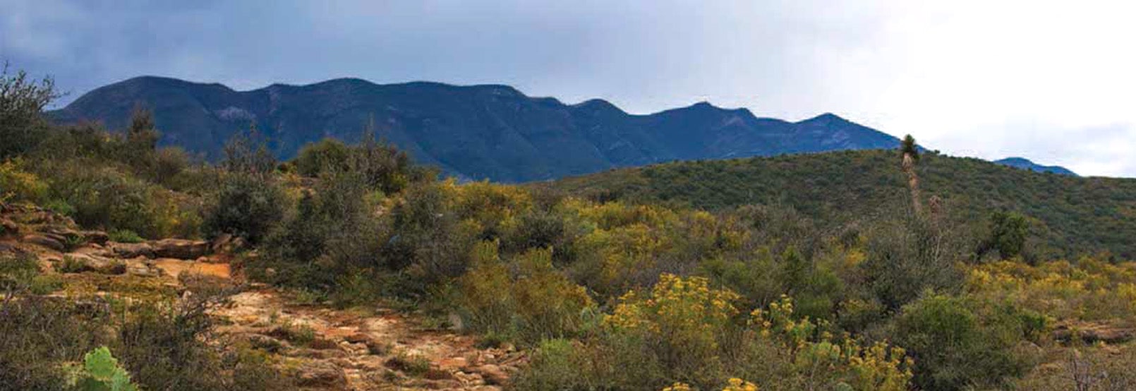 RUTA PALEONTOLÓGICA DE COAHUILA